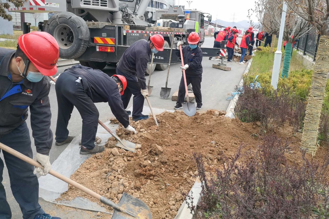 8868体育平台·(中国)官方网站
